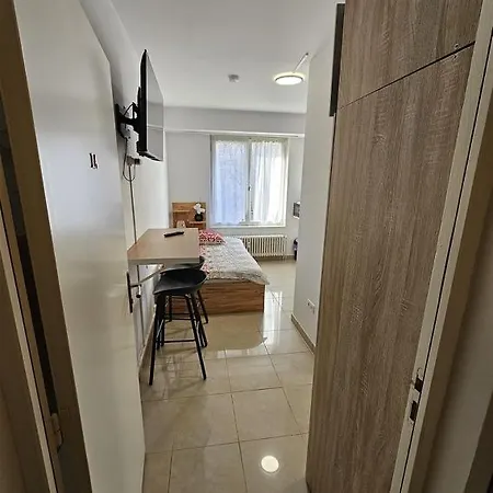 Immostrasbourg - Orangerie - Hebergements Classes Proche Centre Et Conseil D'europe Apartman Strasbourg