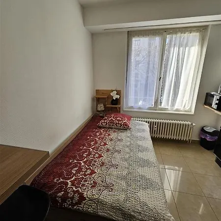 Immostrasbourg - Orangerie - Hebergements Classes Proche Centre Et Conseil D'europe Strasbourg