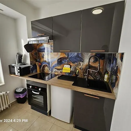 Immostrasbourg - Orangerie - Hebergements Classes Proche Centre Et Conseil D'europe * Strasbourg