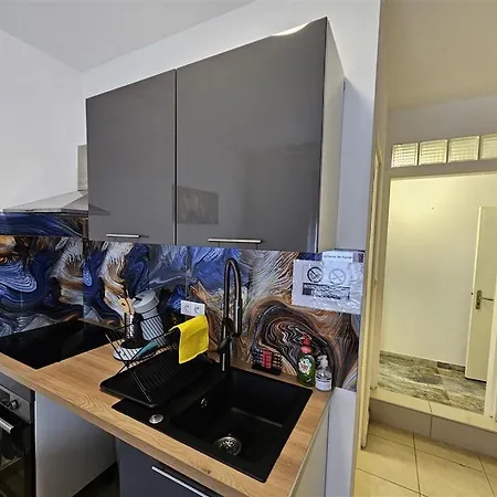 Immostrasbourg - Orangerie - Hebergements Classes Proche Centre Et Conseil D'europe Strasbourg