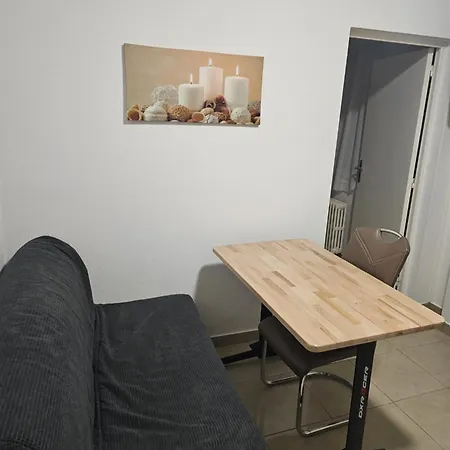 Immostrasbourg - Orangerie - Hebergements Classes Proche Centre Et Conseil D'europe Strasbourg