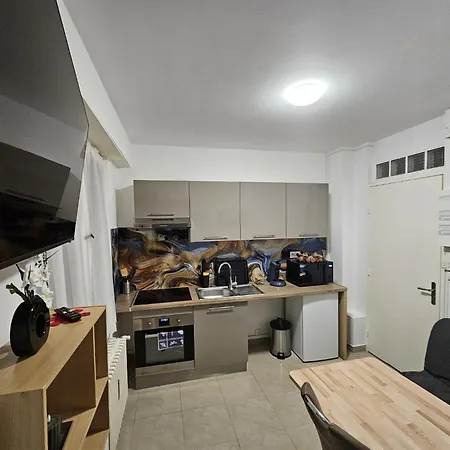 Immostrasbourg - Orangerie - Hebergements Classes Proche Centre Et Conseil D'europe Apartment