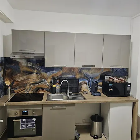 Apartman Immostrasbourg - Orangerie - Hebergements Classes Proche Centre Et Conseil D'europe