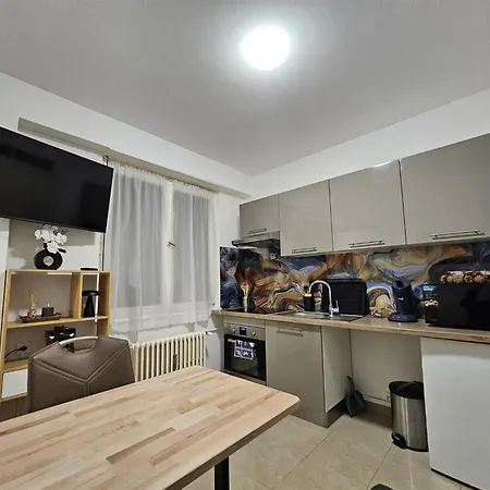 Immostrasbourg - Orangerie - Hebergements Classes Proche Centre Et Conseil D'europe Strasbourg