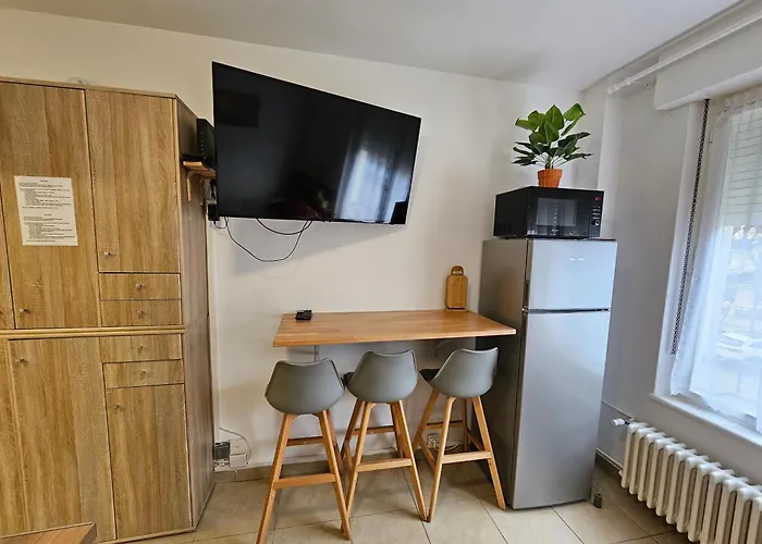 Apartment Immostrasbourg - Orangerie - Hebergements Classes Proche Centre Et Conseil D'europe *