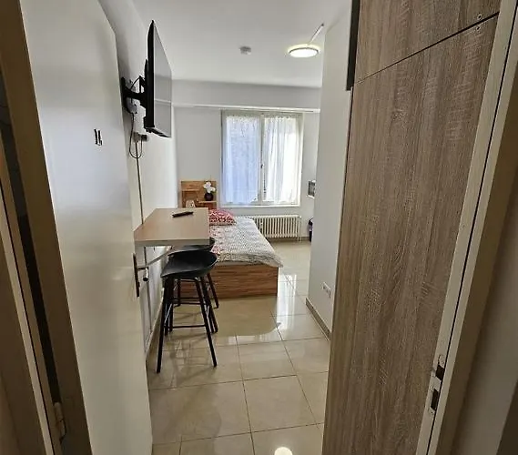 Immostrasbourg - Orangerie - Hebergements Classes Proche Centre Et Conseil D'europe Apartment Strasbourg