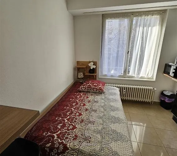 Immostrasbourg - Orangerie - Hebergements Classes Proche Centre Et Conseil D'europe Strasbourg