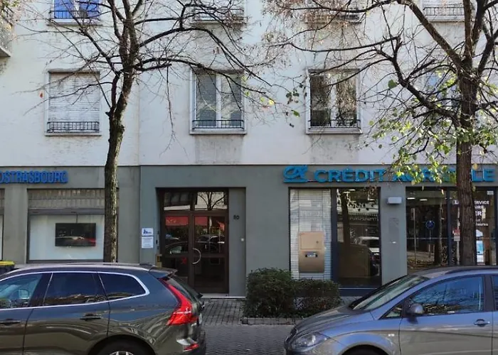 Immostrasbourg - Orangerie - Hebergements Classes Proche Centre Et Conseil D'europe *