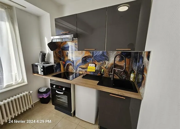 Immostrasbourg - Orangerie - Hebergements Classes Proche Centre Et Conseil D'europe * Strasbourg