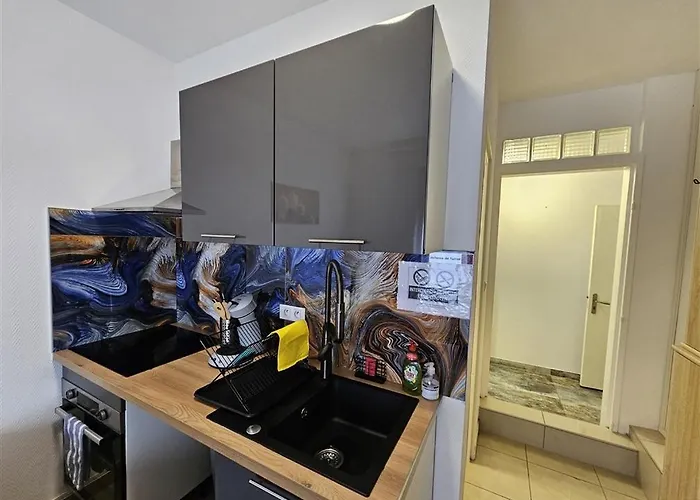 Immostrasbourg - Orangerie - Hebergements Classes Proche Centre Et Conseil D'europe Strasbourg