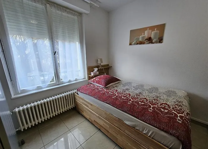 Apartment Immostrasbourg - Orangerie - Hebergements Classes Proche Centre Et Conseil D'europe *