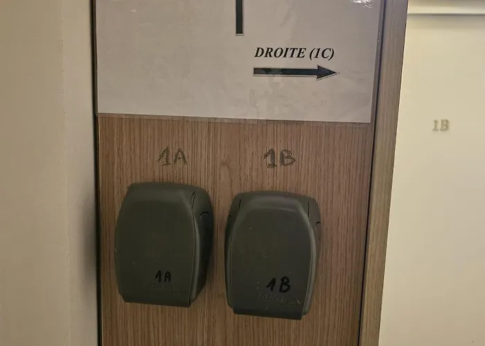 Immostrasbourg - Orangerie - Hebergements Classes Proche Centre Et Conseil D'europe Strasbourg