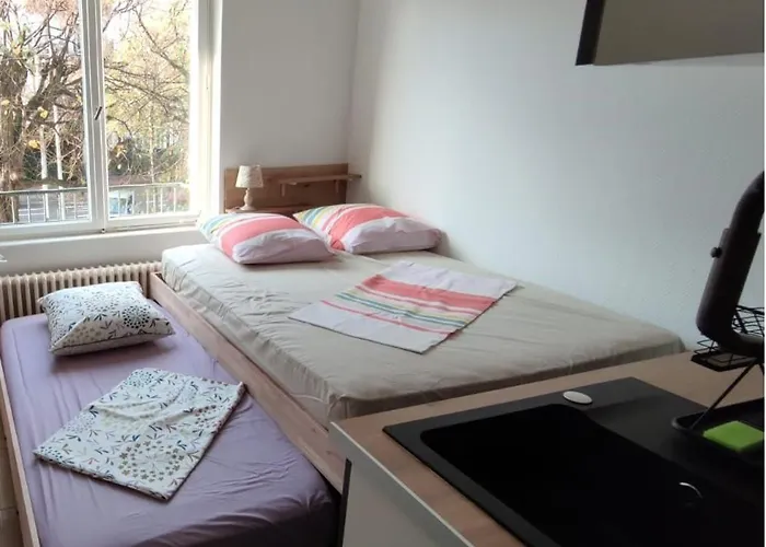 Immostrasbourg - Orangerie - Hebergements Classes Proche Centre Et Conseil D'europe * Strasbourg