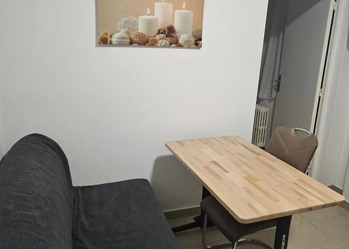 Immostrasbourg - Orangerie - Hebergements Classes Proche Centre Et Conseil D'europe Strasbourg