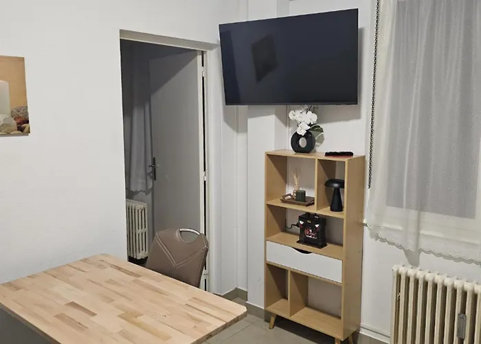 Immostrasbourg - Orangerie - Hebergements Classes Proche Centre Et Conseil D'europe Apartment *