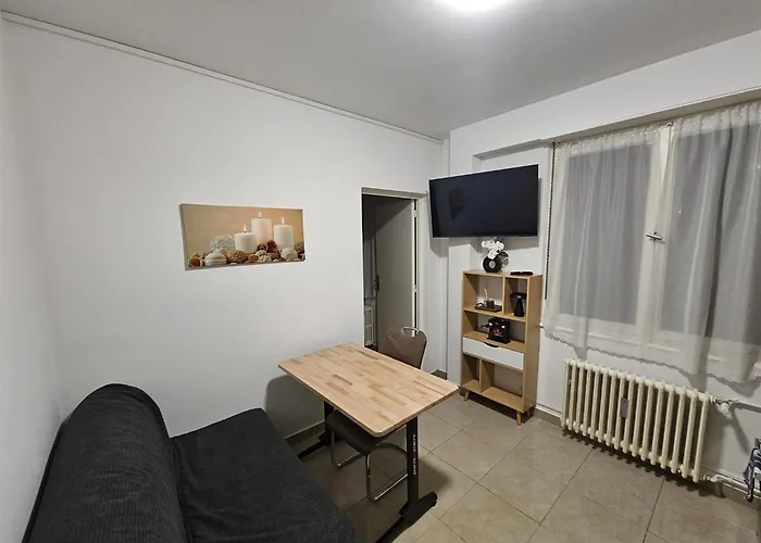 Apartment Immostrasbourg - Orangerie - Hebergements Classes Proche Centre Et Conseil D'europe Strasbourg