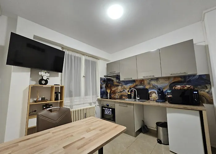 Immostrasbourg - Orangerie - Hebergements Classes Proche Centre Et Conseil D'europe Strasbourg