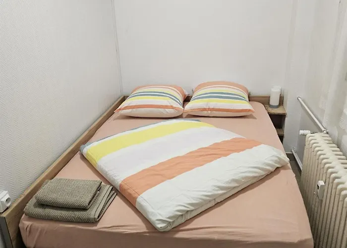 Immostrasbourg - Orangerie - Hebergements Classes Proche Centre Et Conseil D'europe * Strasbourg